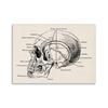 Vintage Human Anatomy Artwork Medical Wall Picture Muscle Skeleton Poster Canvas Art Print Education Hospital Pharmacy Paintings