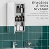 Bathroom Mirror Cabinet Stainless Steel Wall Mounted Vanity Cabinet 39 X 12 X 60 Cm