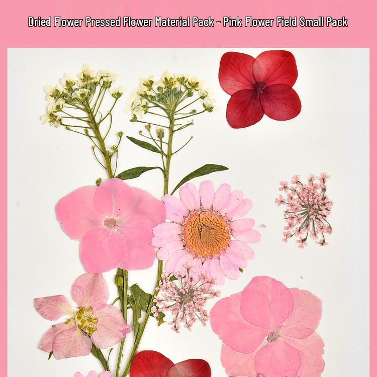 Autumn Dried Flower Bookmark Kit: Transparent Leaf Specimen with Lamination Film Stickers