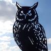 Creativity Owl Weather Vane Black Metal Wind Vane Outdoor Crafts Roof Garden Decorations Wind Indicator