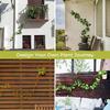 Indoor Plant Stem Rack Climbing Support Flower Pots Vine Stand Holder Plant Trellis Supporting Bracket Garden Decoration
