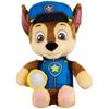 Paw Patrol Good Night Together Chat Chase