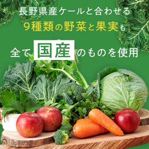 Morinaga & Co. Oishii Aojiru (Delicious Green Juice) 125ml (24 Bottles) Made with Japanese Vegetables and Fruits, Functional Food (Aojiru, 24)