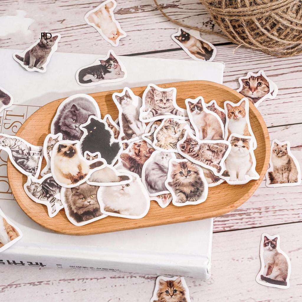 Милая наклейка с кошкой, креативная наклейка с изображением черного котенка Kawaii, играющего с милой канцелярской наклейкой для декоративного альбома своими руками