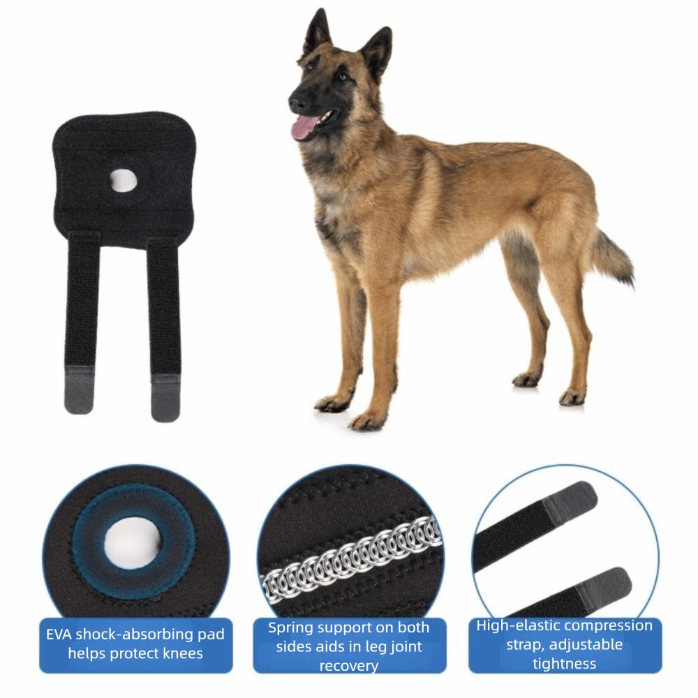 Breathable Dog Knee Brace Comfortable Dog Knee Pads Pet Joint Protection Covers Injury Recovery