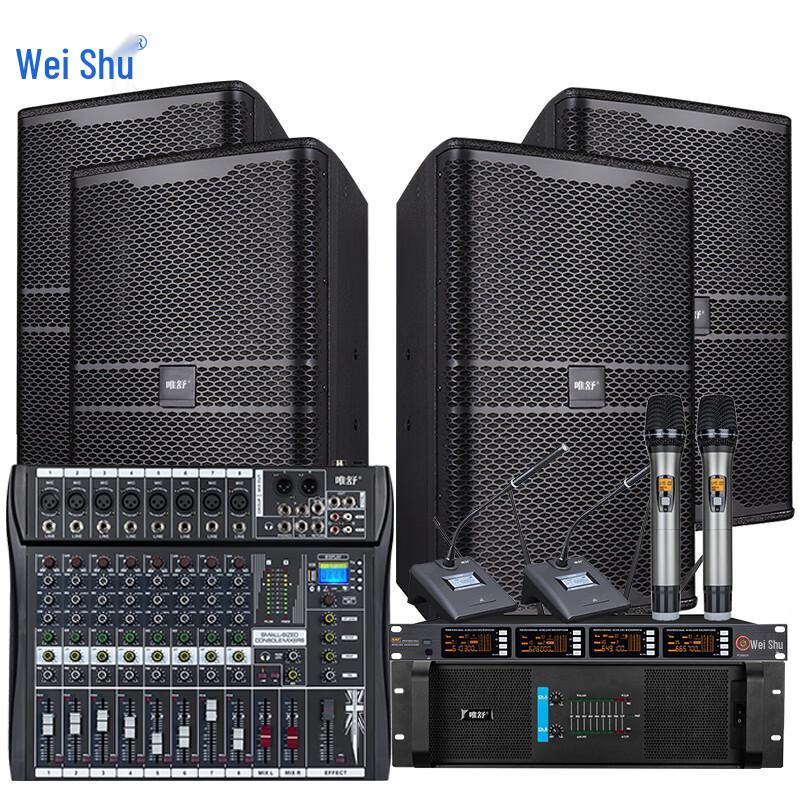 WeiShu PC-610A 10-inch Full-Range Passive Professional Speaker