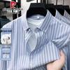 Мужская рубашка в полоску Оксфорд из чистого хлопка