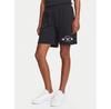 Шорты спортивные Emporio Armani Underwear EW000496