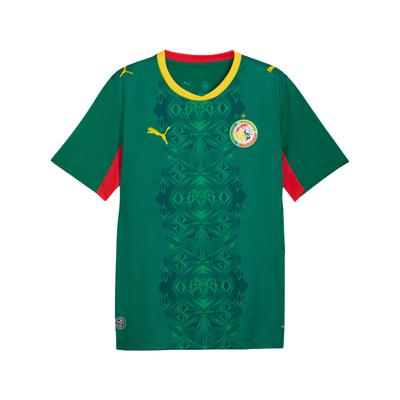 Puma Сенегал 2026 Выездная форма Дикий Зеленый-Красный Puma Мужские Топы 783171-02