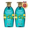 LG Household & Health Care Organist Охлаждающий успокаивающий шампунь с перечной мятой 500 мл x 2