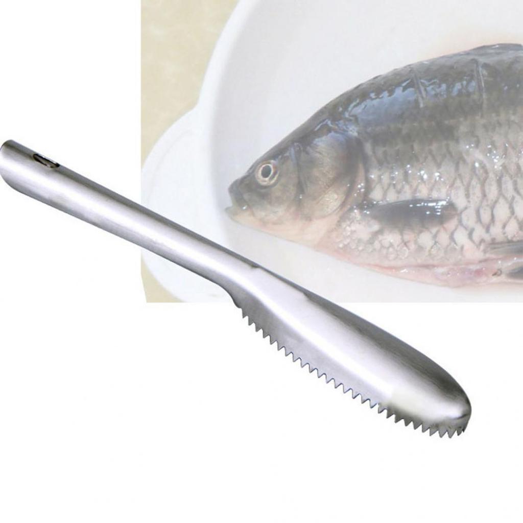 Creative Stainless Steel Fish Scale Scraping Graters Cleaning Peeler Scaler ARI