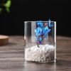 Transparent Glass Hydroponic Vase Modern Small Cylinder Flower Centerpiece Vases Use for Floral Wedding Home Decoration