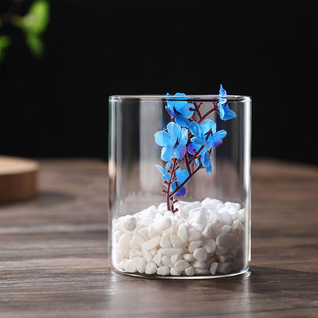 Transparent Glass Hydroponic Vase Modern Small Cylinder Flower Centerpiece Vases Use for Floral Wedding Home Decoration