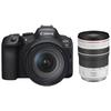 Canon Беззеркальная полнокадровая камера EOS R6 Mark II (Китайская версия)