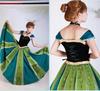 Princess Anna Frozen Cosplay Embroidered Gown Dress