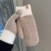Gloves winter women's thickened warm plush double-layer finger windproof and cold-proof new student outdoor riding tide