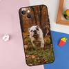 Чехол для телефона с французским бульдогом для iPhone 16 Pro Max 11 12 13 14 15 Pro Max Mini XR 15 16 Plus 16e Защитный корпус