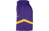Nike Баскетбольные шорты мужские темно-фиолетовые DZ3722-504