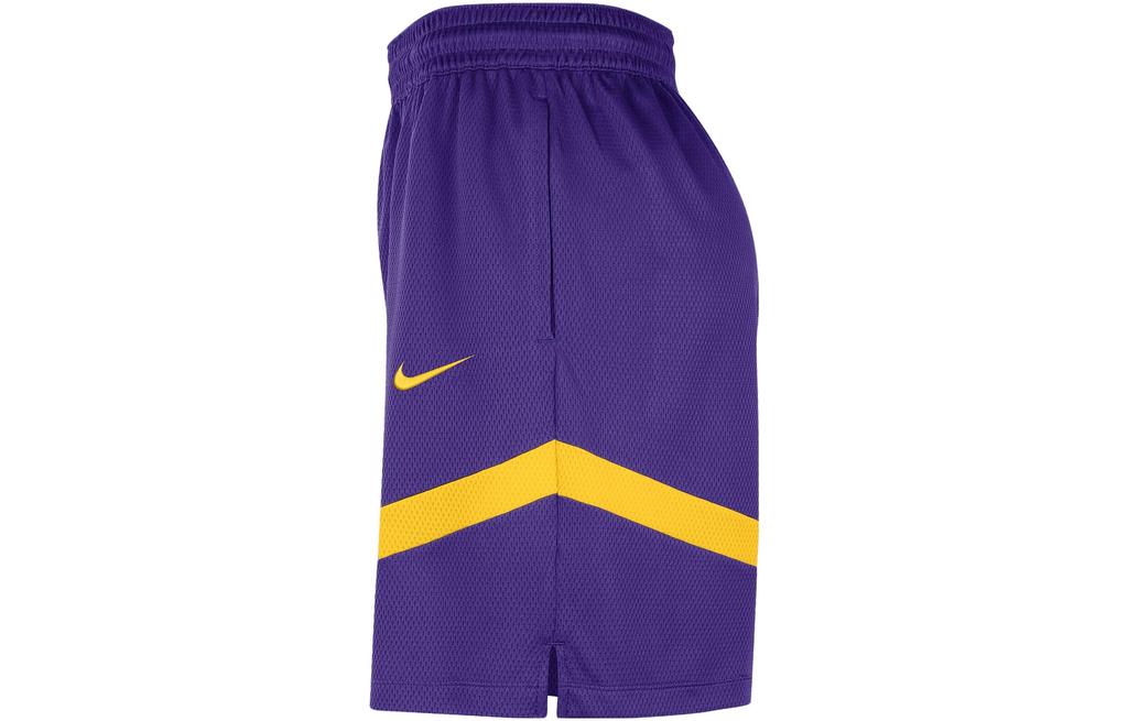 Nike Баскетбольные шорты мужские темно-фиолетовые DZ3722-504
