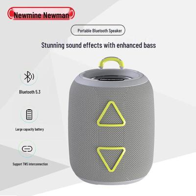 Портативная Bluetooth-колонка Newmine BT87, штекер CN (адаптер в комплекте)