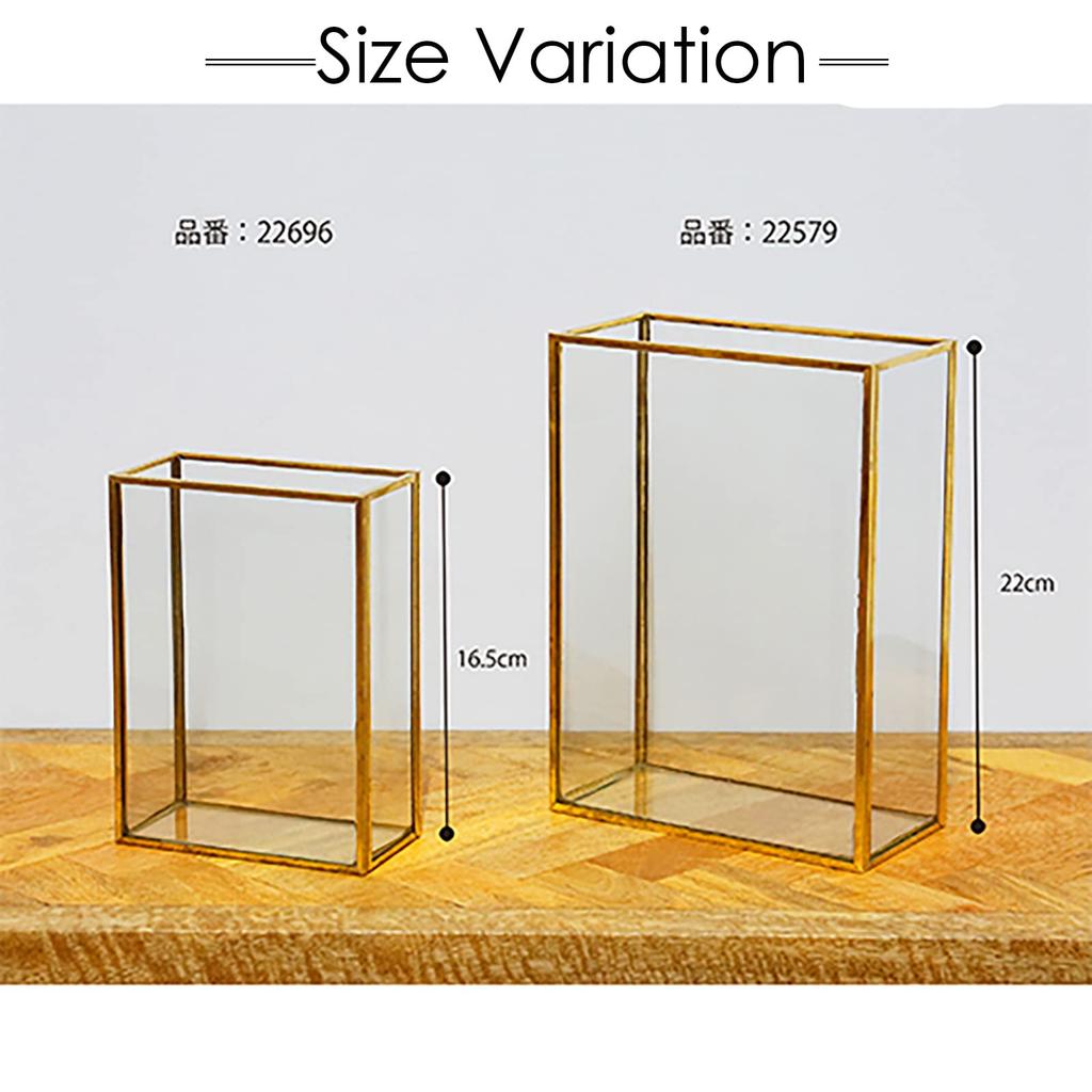 Posh Living Frame Flower Vase, Solid, Clear, Size: Approx. W12 D6 H16.5 (22696)