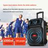 Портативная Bluetooth-колонка Aigo S56 12 дюймов на колесиках с микрофоном, штепсель CN (адаптер в комплекте)