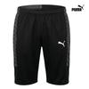 Puma Тренировочные брюки Liga 26