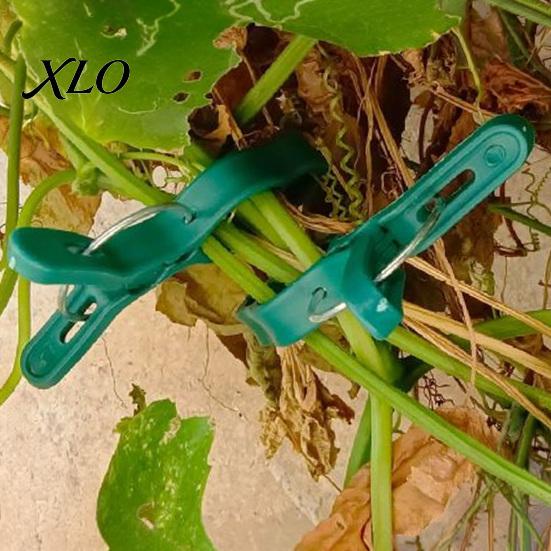 Vegetable Fixing Tools 20Pcs Plant Support Clips, Plastic Gentle Clamps, Greenhouse Holders Tomato Cage Clips for Climbing Vines, Flowers Stems