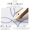 Sailor Fountain Pen, Four Seasons Weave, Otogiba, Princess Kaguya, Medium, Medium, 11-1227-303