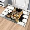 3D плошной оптический обман коврик для двери нескользящий коврик для двери спальни креативность ковер для ванной комнаты декор для дома
