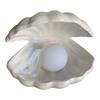 Ceramic Shell Night Lamp Night Lamp Desk Decoration Fantastic Mermaid Fairy Bedroom Night Lamp Storage Lighting | Table Lamps