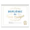 [A3453] - Multicolored 'Super Colleague' Diploma Frame - 25x20 Cm