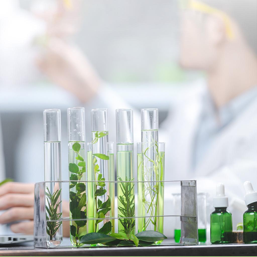 Масляный пластырь с шариками, против укусов, для занятий спортом на открытом воздухе, в помещении, растительное масло, масло для дикой рыбалки, защитный пластырь, репелленты от комаров, пластыри для детей и взрослых