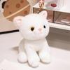 Cute Stuffed Kitty Plush Toy Soft Colorful Cat Animal Doll with Heart Pendant 1Pcs for Bedside Decor Kids Graduation Gift