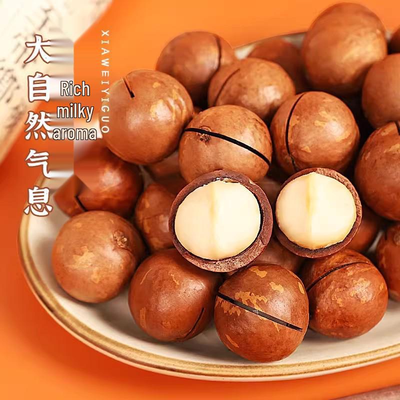 Creamy Macadamia Nuts - Large, Thin-Shell, 500g Snack Pack