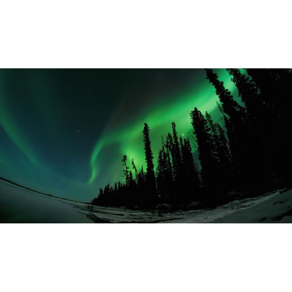 [GoPro Official] Tripod Mount Set Ver.2.0 ABQRT-002