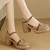 Soft Leather/7cm/Fashion 2025 Summer Vintage Mary Jane Hollow Coarse Heel Thick Sole One Word with Soft Sole Sandals Women