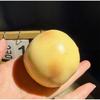 Shapeable Crunchy Squishy Finger Relax Blocks Filled Squishy Boys Girls Squishy Potato  Adult Kids