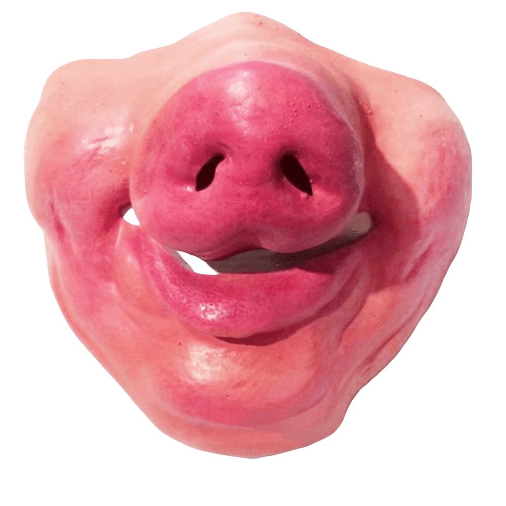 Anti-Bite Smiling Teeth Pet Muzzle Anti-Scavenge Grinning Dog Mask Dog Cross Dressing