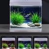 All-in-One Glass Aquarium Filter & Oxygenator - Small Eco-Friendly Desktop Tank 2025.