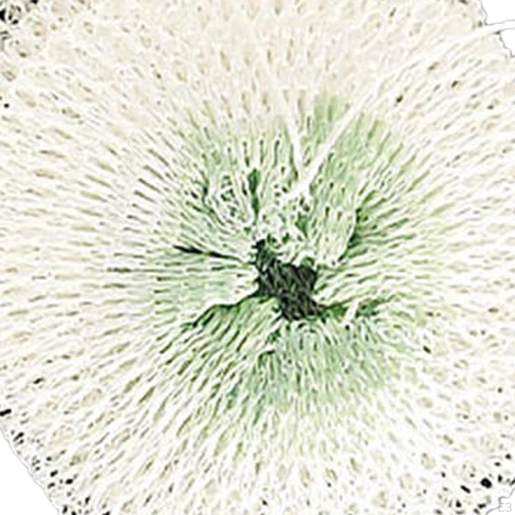 5 шт. газовые фонарики сетки многофункциональные для пикников рыбалки кемпинга A