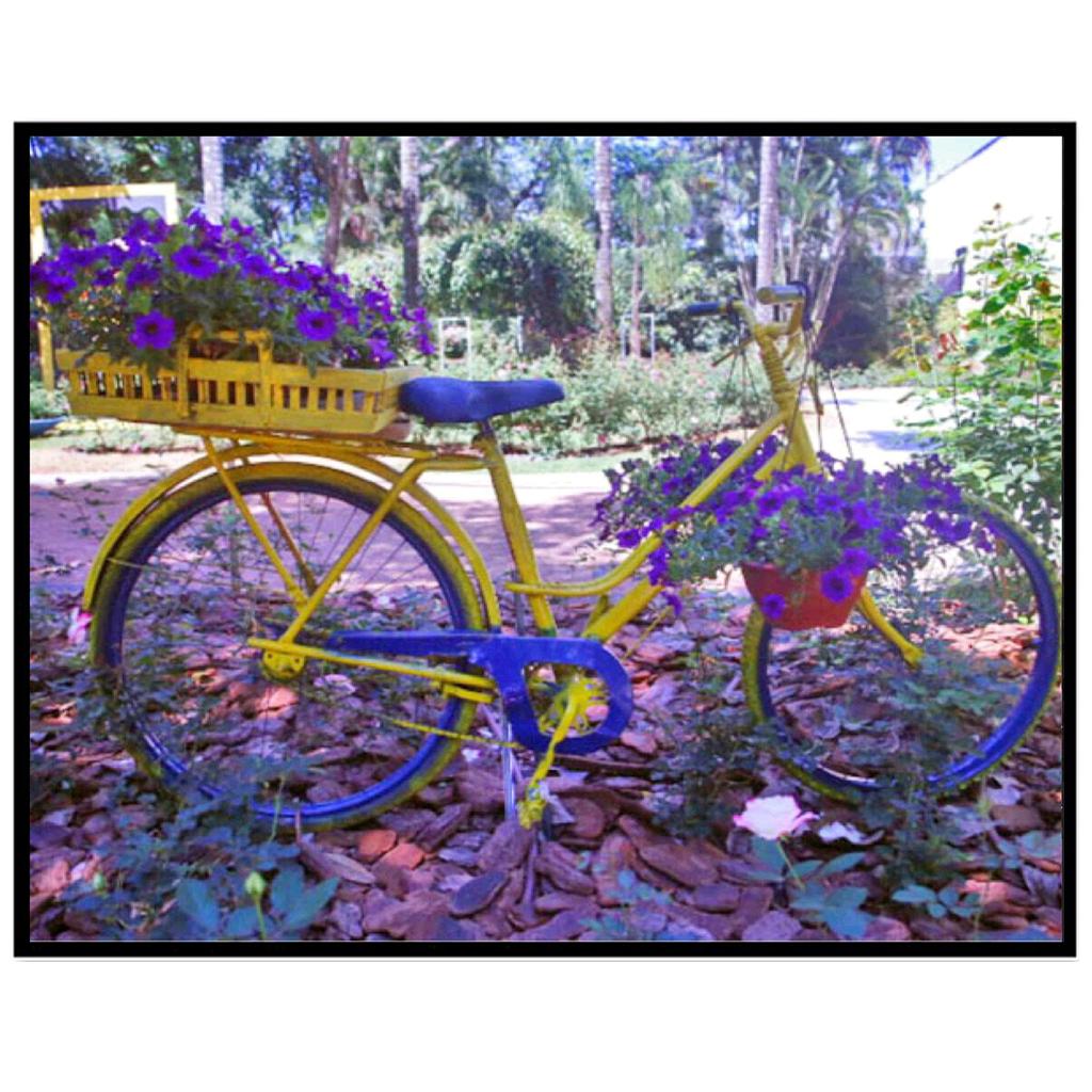 Алмазная картина «сделай сам», новый 5D пейзаж, лесная лошадь, алмазная мозаика, садовый набор для вышивки крестом, украшение дома, подарок ручной работы