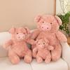 New Barnabs Doll Forest Animal Doll Plush Toy Grabber Doll Bear Piglet Gift Female