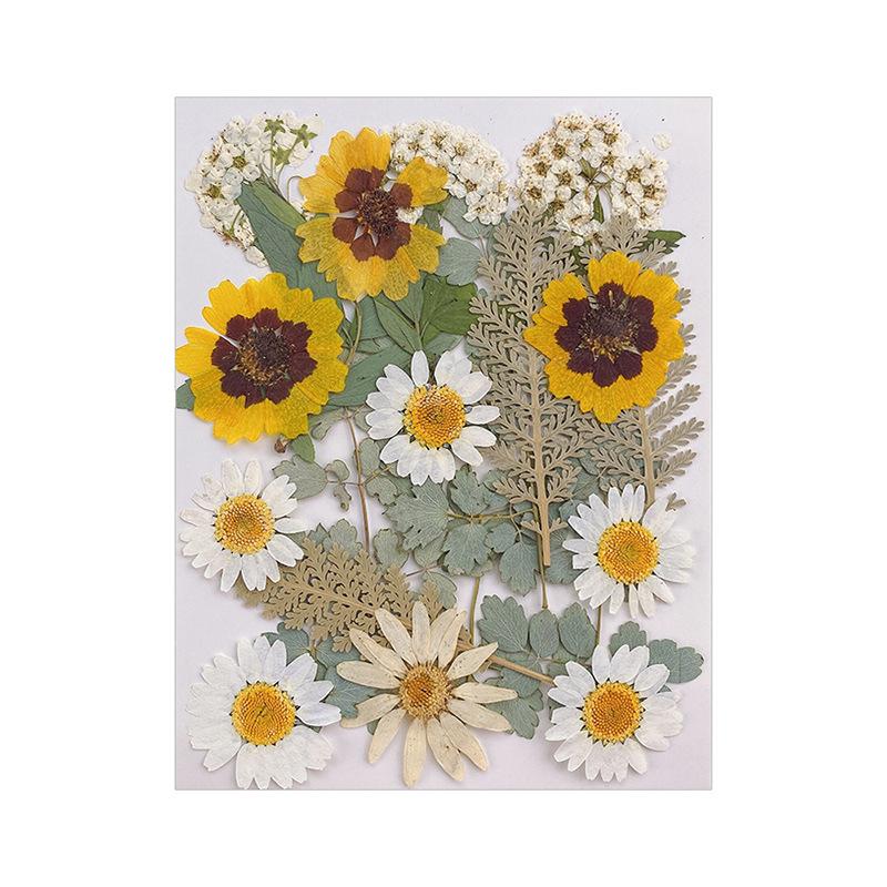 Прессованные сушеные цветы для наполнителей из смолы для изготовления ювелирных изделий. Настоящие натуральные растительные цветы для украшения ногтей.