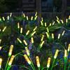 Warm Light Solar Garden Lights Waterproof Design Solar Reed Lights  Yard Pathway
