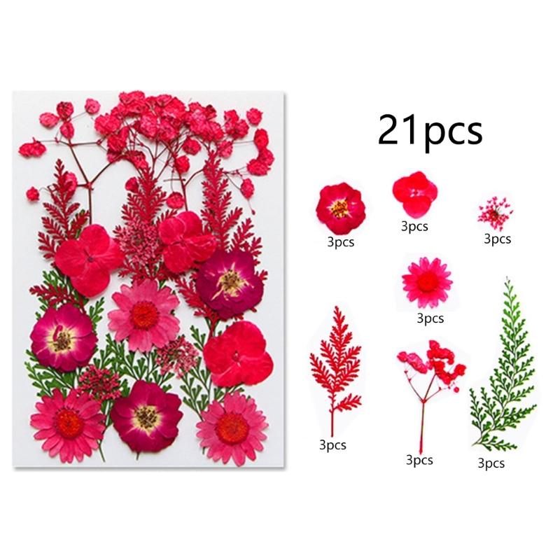 495Piece Dried Flower Craft Set Including Pressed Blooms and Butterfly Stickers for Resin Art and Journal Decorating