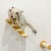 1 Piece Wall Mounted Cat Climbing Ladder For Cat Shelf Set For Play Toy