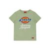 Dickies SS21 T Shirt Women's Gray Green (Unisex) T-Shirts DK007386B73