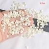 Перламутровые Ракушки Блестки для Маникюра и DIY Поделок