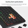 Cherry MX 10 Series Low Profile RGB Mechanical Gaming Keyboard